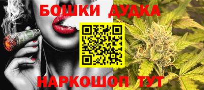 индика Ликино-Дулёво